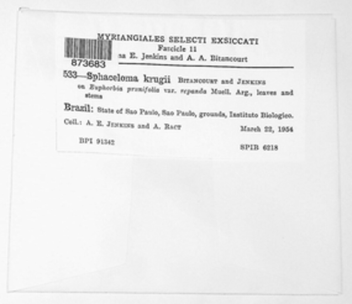 Sphaceloma krugii image